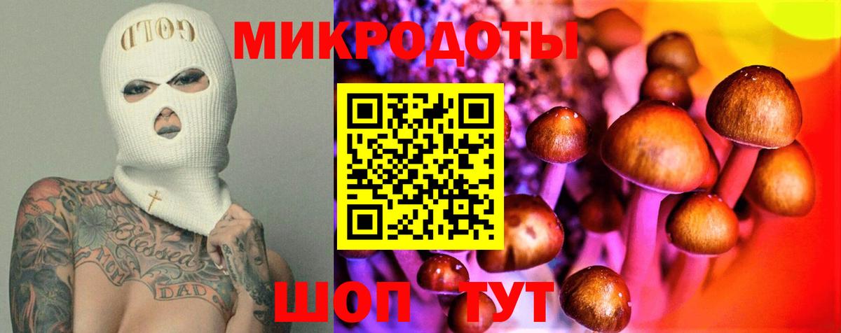 Псилоцибиновые грибы Cubensis Подольск